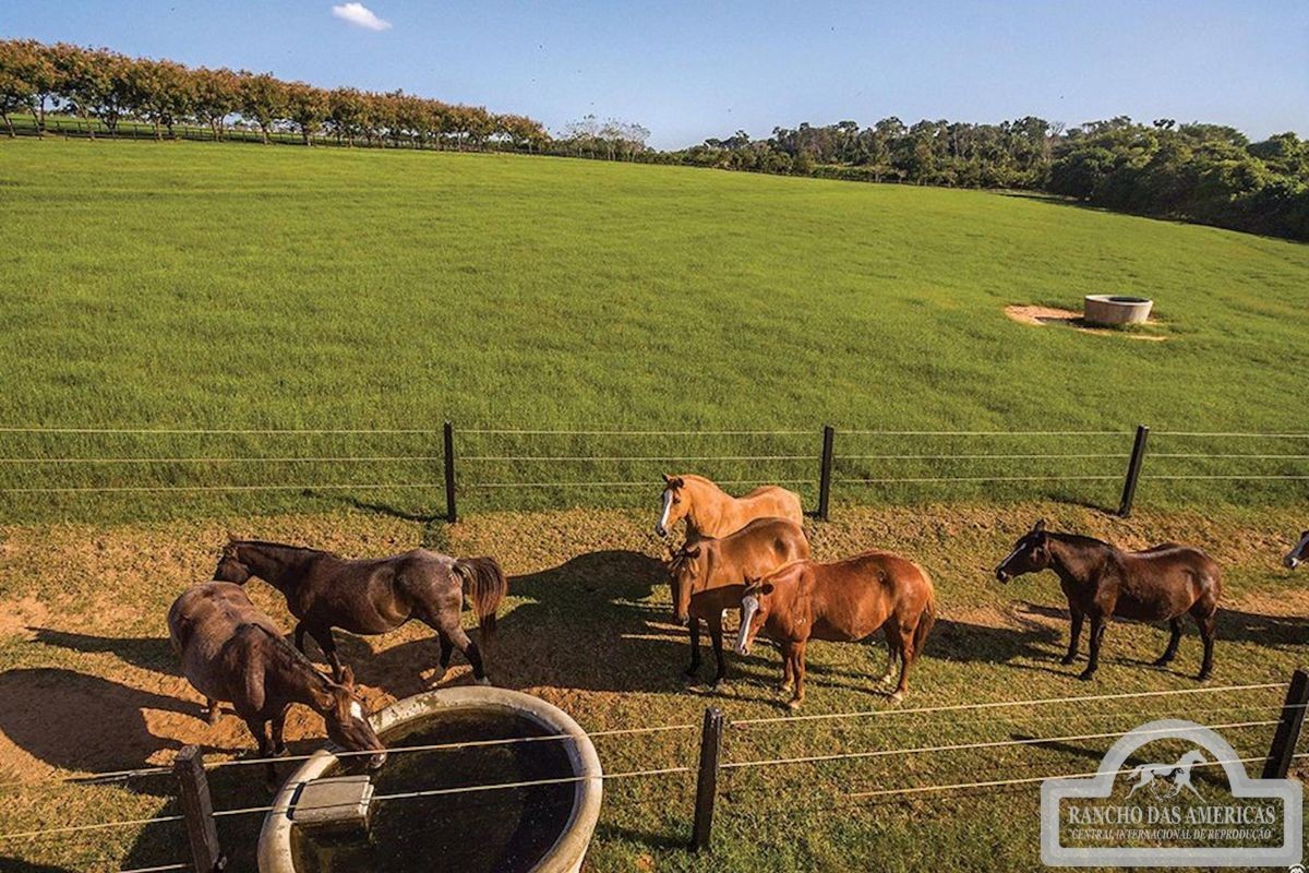 Conheça o rancho milionário do cantor sertanejo Sorocaba — Foto: Site Oficial Rancho das Américas