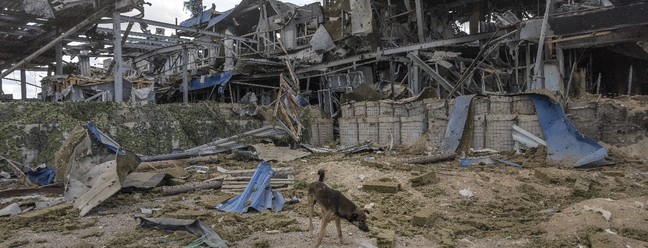 Um cão de rua caminha pelos destroços do posto de fronteira russo destruído no Cruzamento de Sudzha, em Kursk, Rússia, em 24 de agosto de 2024 — Foto: David Guttenfelder/The New York Times