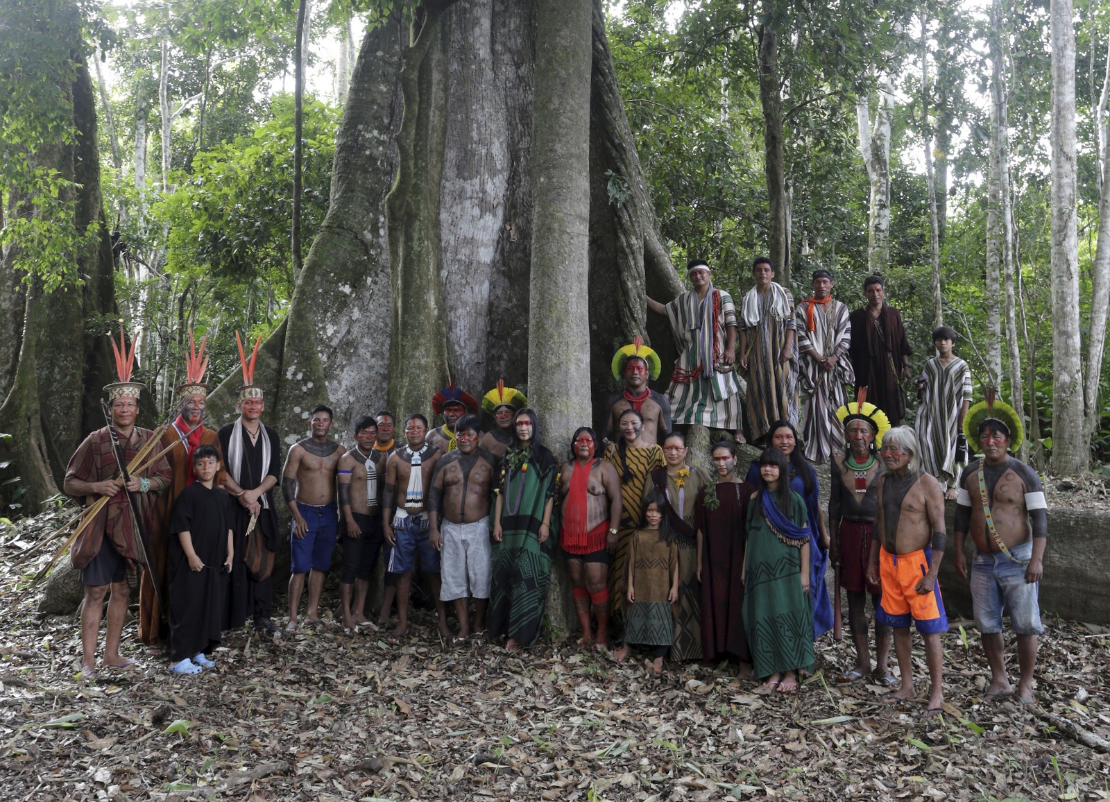 Indígenas ashaninka posam com seus parentes kayapós aos pés de uma sumaúma, árvore sagrada da foresta — Foto: Domingos Peixoto / Agência O Globo