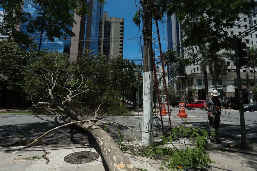 Árvores caídas devido à chuva forte em São Paulo