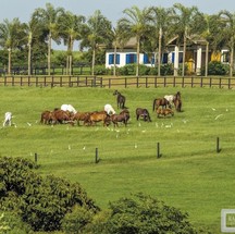 Conheça o rancho milionário do cantor sertanejo Sorocaba — Foto: Site Oficial Rancho das Américas