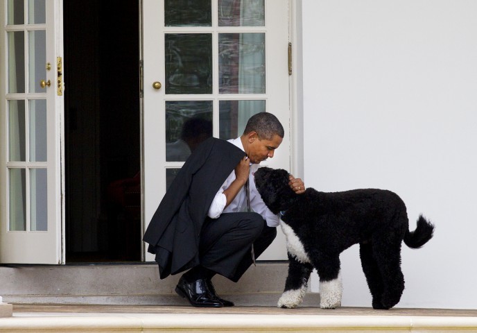 Obama e Bo, o cão querido da família — Foto: Doug Mills/The New York Times
