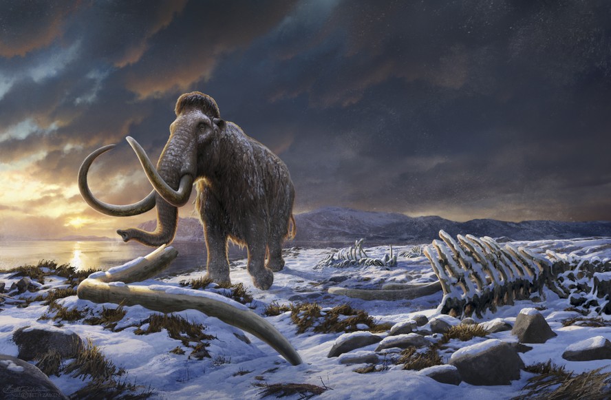 Ilustração de um mamute.