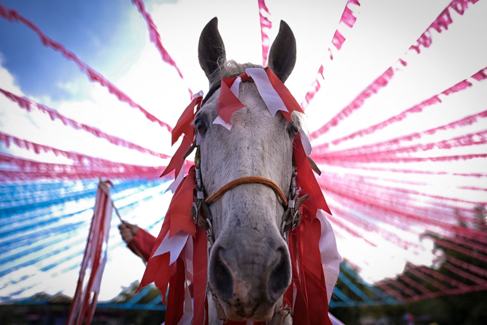 Um cavalo é visto durante a Cavalgada de Amarantina durante o festival De São Gonçalo, em Amarantina, Brasil — Foto: DOUGLAS MAGNO / AFP