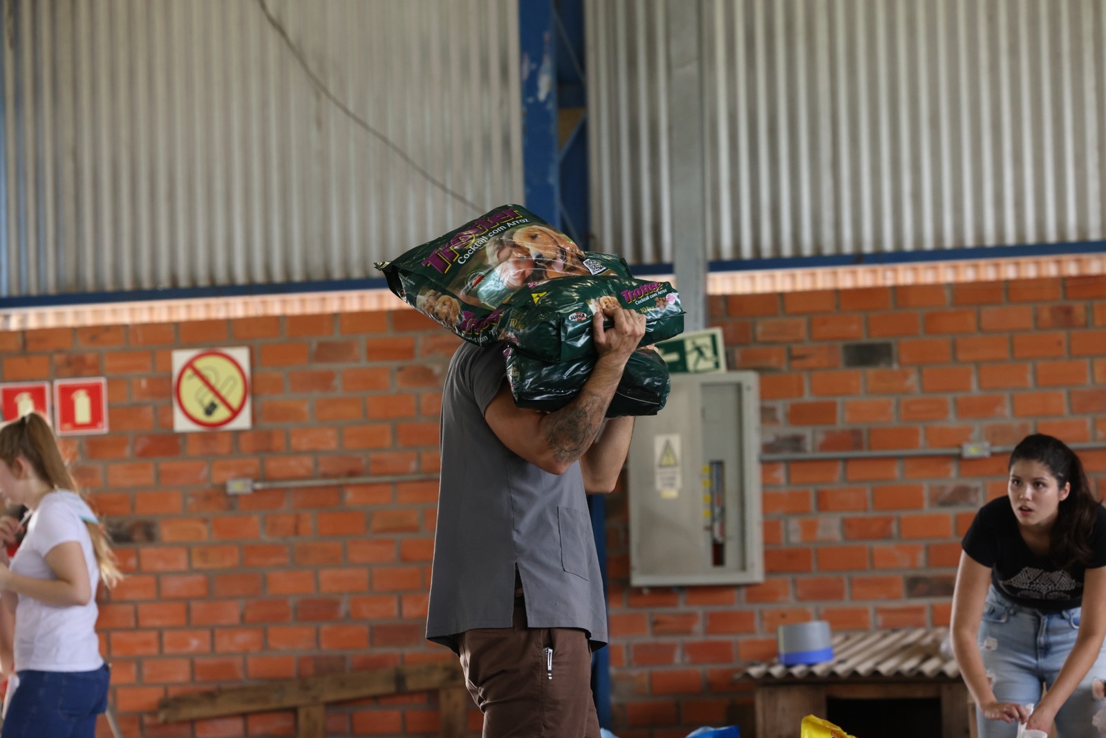 Organizações de proteção animal estão trabalhando para resgatar os animais afetados pelas chuvas. — Foto: Marcelo Oliveira/PMSM