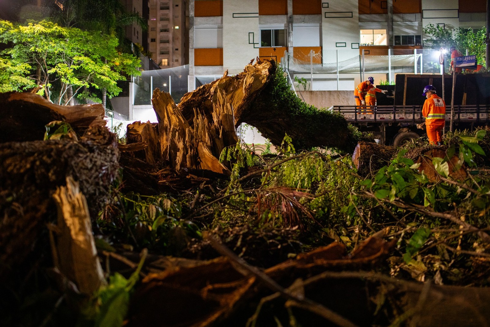 Árvore caída no Bairro do Paraíso, em São Paulo — Foto: Edilson Dantas