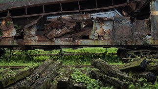 Moradores reclamam de mosquitos e cobras escondidos em trens abandonados — Foto: Maria Isabel Oliveira