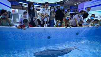 Público observa um projeto de robô semelhante a um peixe — Foto: WANG Zhao / AFP