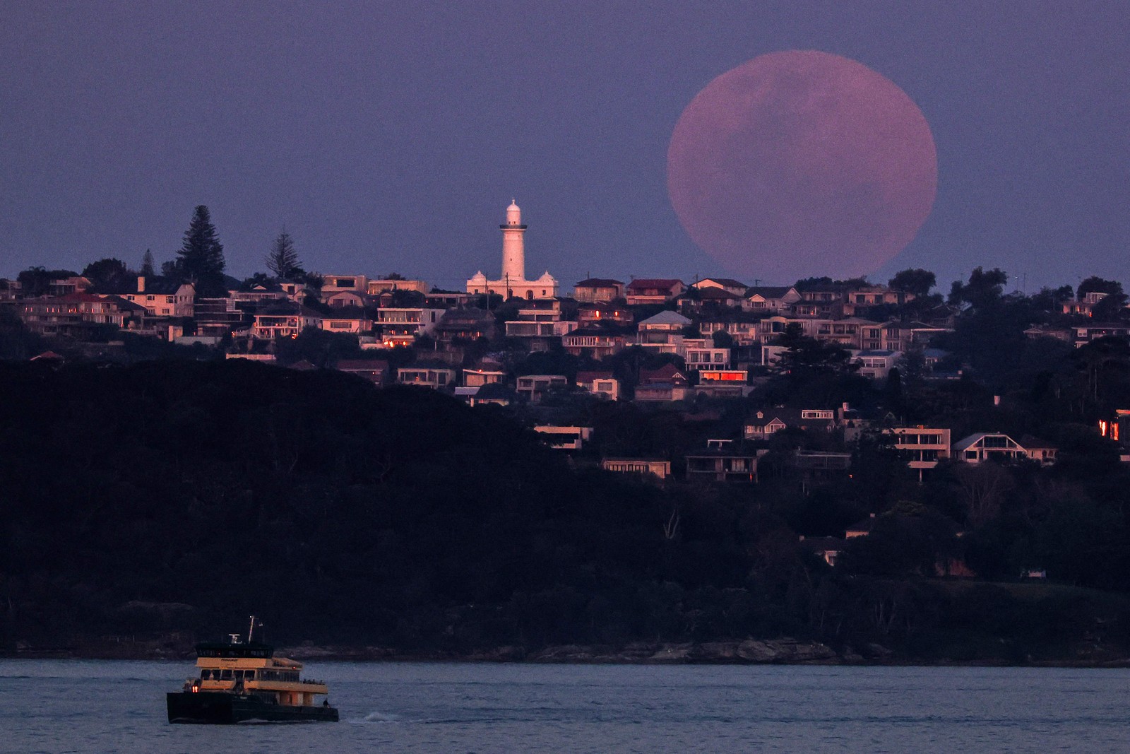 Uma balsa viaja em frente à última Superlua de 2023, elevando-se acima do Farol Macquarie em Sydney — Foto: David Gray / AFP