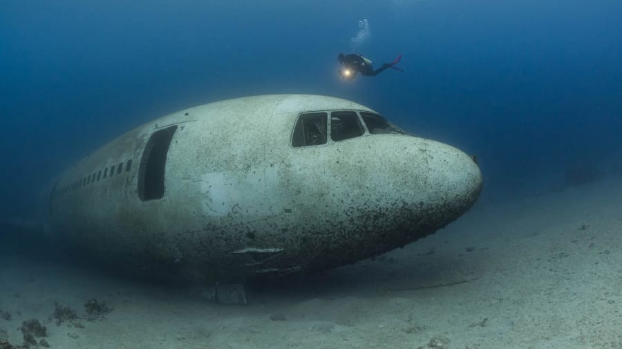 Mergulhador explora o avião Lockheed L-1011 TriStar afundado no Mar Vermelho, na Jordânia — Foto: Reprodução / Brett Hoelzer / Deep Blue Dive Center