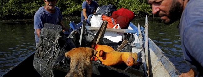 Pescadores da Ilha do Governador retiram lixo de manguezais da Baía de Guanabara — Foto: Custodio Coimbra / Agência O Globo