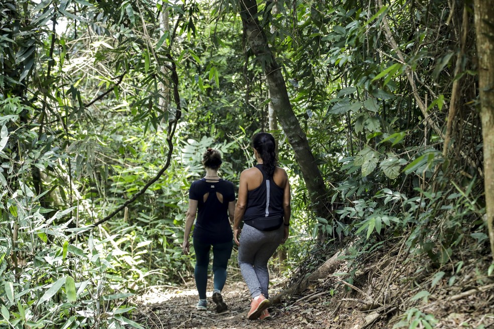 Alerta. Frequentadores das trilhas do Parque Nacional da Tijuca relatam assaltos constantes; ladrões já são conhecidos, mas continuam soltos — Foto: Gabriel de Paiva