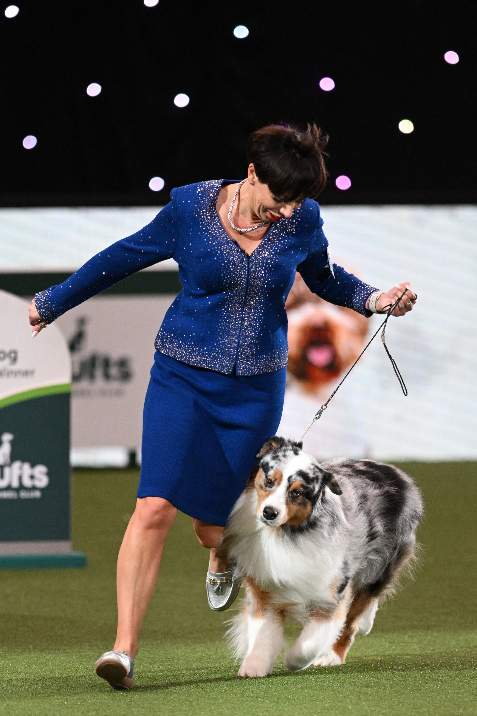 Pastor australiano vence o Crufts 2024 — Foto: AFP