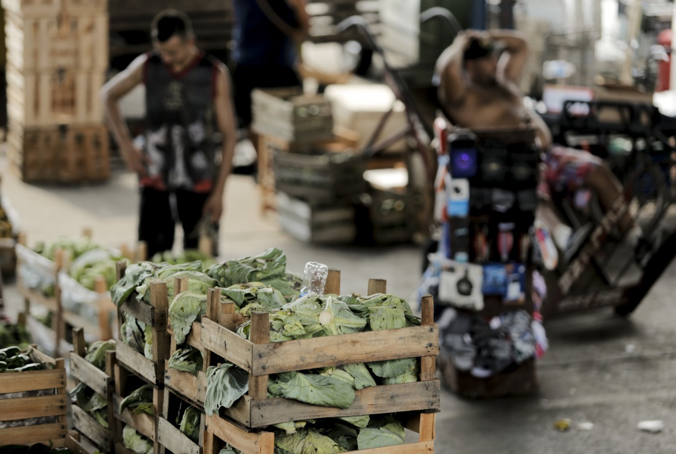 Verduras, que são ainda mais sensíveis ao calor, têm ficado murchas e queimadas de sol — Foto: Gabriel de Paiva / Agência O Globo