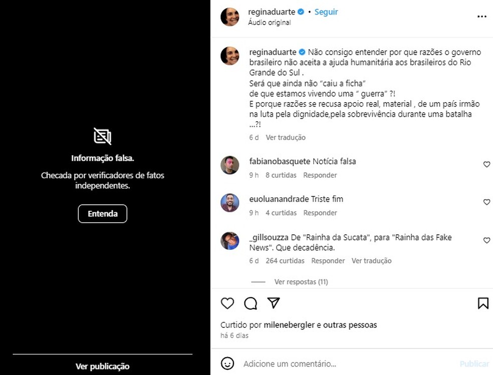 Regina Duarte publica fake news sobre chuvas no RS e Instagram sinaliza post: 'Informação falsa' — Foto: Reprodução/Instagram