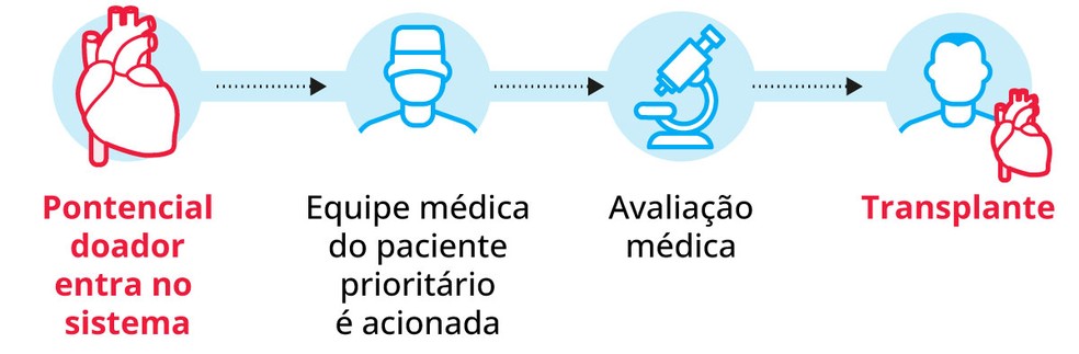 Etapas do sistema de doação e transplante — Foto: Arte GLOBO