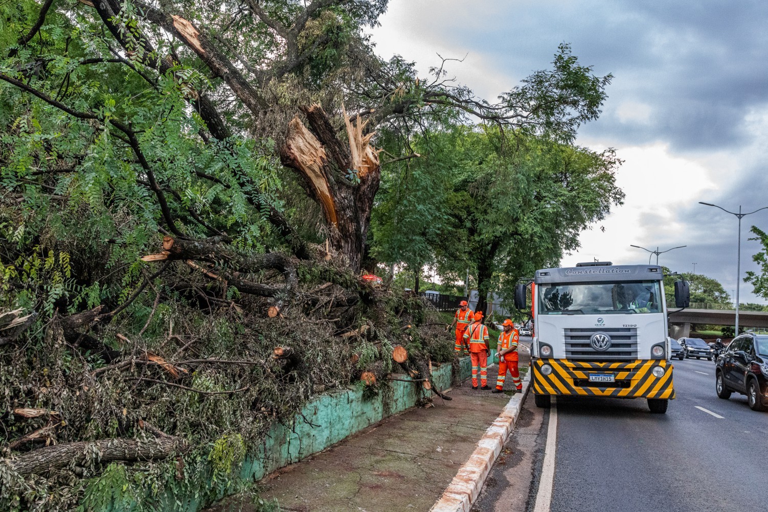 Árvore caída na Av. 23 de Maio, próximo ao Parque Ibirapuera — Foto: Edilson Dantas