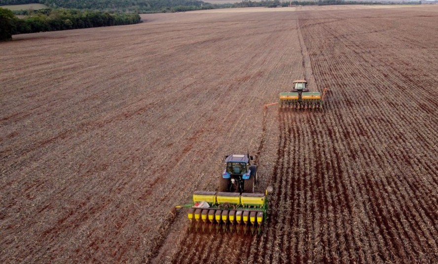 Plantio de soja em Campo Mourão, no Paraná