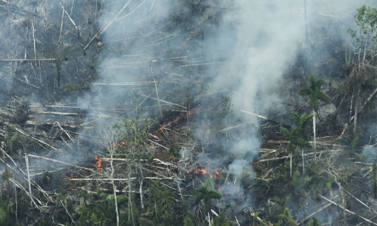 Rondônia captou mais de 1,2 mil focos, de acordo com dados coletados pelo satélite de referência do Instituto Nacional de Pesquisas Espaciais — Foto: Edilson Dantas / Agência O Globo