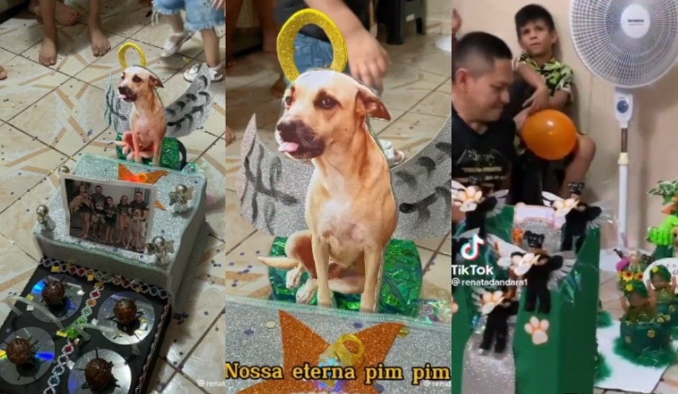 Desfile tem alas, alegorias e até samba-enredo próprio — Foto: Reprodução/TikTok