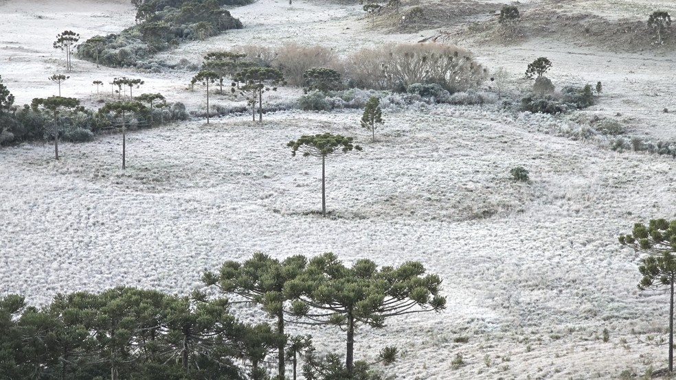 Onda de frio provocou geadas no Rio Grande do Sul e Santa Catarina, como no Vale do Caminhos da Neve em 1 de Julho de 2024 — Foto: Mycchel Legnaghi