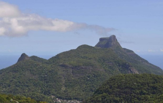 O Parque Nacional da Tijuca completa 62 anos