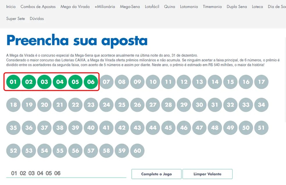 Na seção "Preencha sua aposta", escolha os números que deseja apostar na Mega da Virada — Foto: Reprodução
