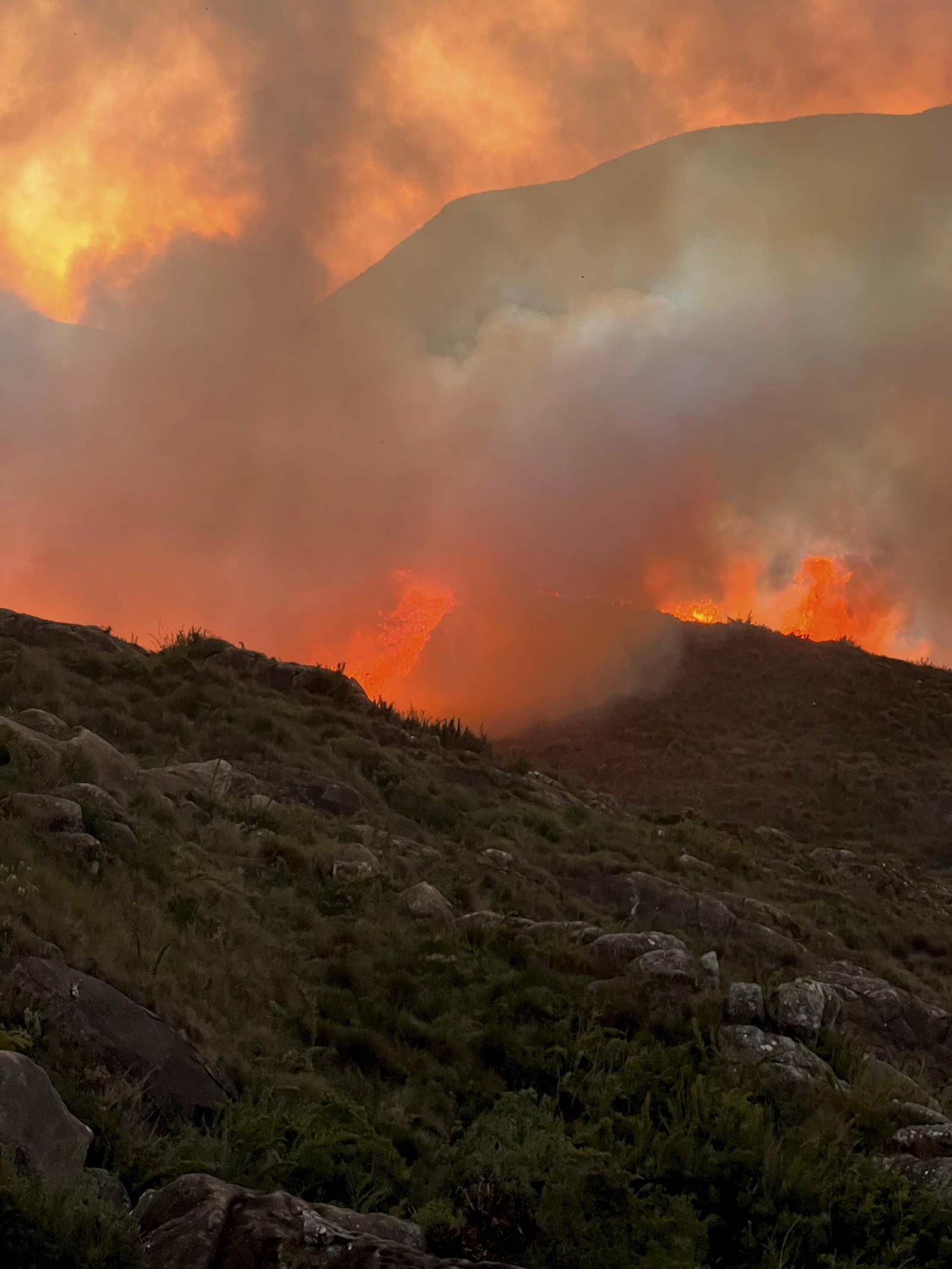 Combate ao incêndio no Parque Nacional do Itatiaia feito por brigadistas voluntários. — Foto: Brigada Voluntária Guáras do Fogo