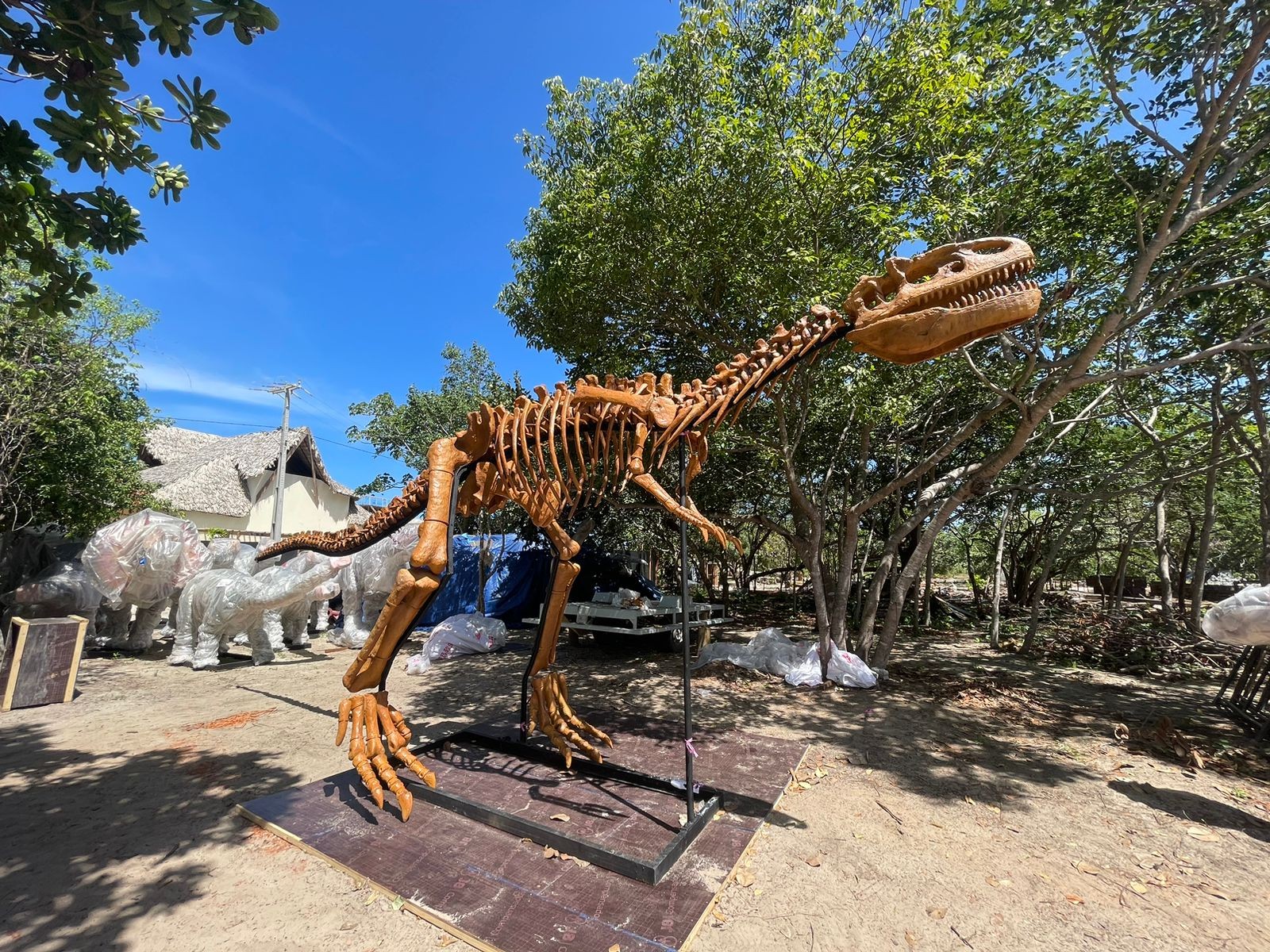 Réplicas são de dinossauros extintos há mais de 65 milhões de anos — Foto: Divulgação