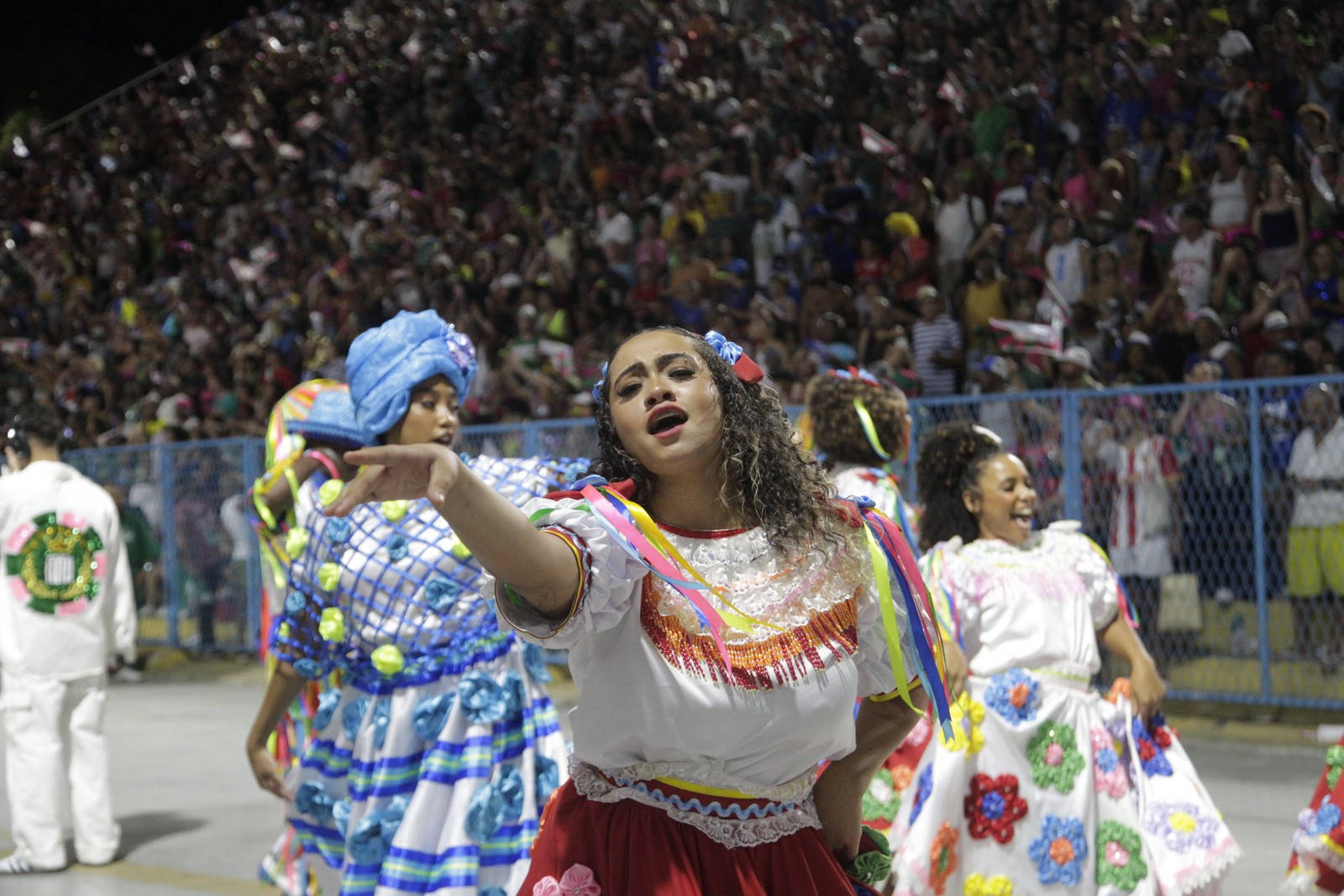 Desfile da Mangueira — Foto: Domingos Peixoto