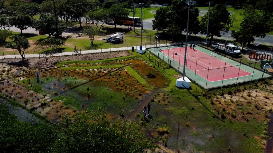 Área de naturalização da Lagoa Rodrigo de Freitas já mostra resultados positivos