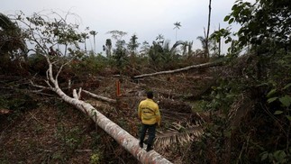 Membro da brigada de incêndio do Instituto Brasileiro do Meio Ambiente e dos Recursos Naturais Renováveis (IBAMA) em um terreno desmatado da floresta amazônica brasileira, em Apui, estado do Amazonas — Foto: BRUNO KELLY / REUTERS