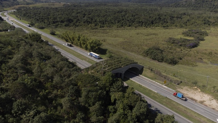 A BR-101, no estado do Rio, é uma das rodovias que terão contrato renegociado