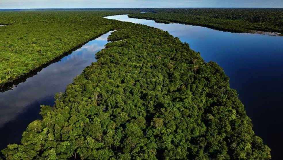 Brasil tem excedente de reserva legal — Foto: Divulgação/ Imagem de Drone/Amazônia