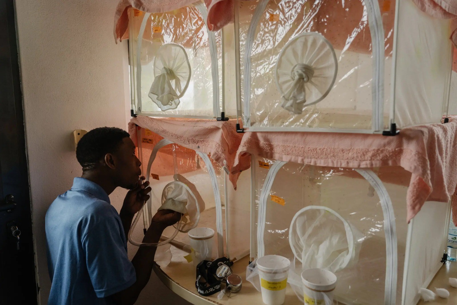 Ivan Mugeni Mulongo, técnico em insetos da equipe da Iniciativa contra a Malária da Universidade da Califórnia, usa um aspirador para coletar amostras de mosquitos em Prince — Foto: Natalija Gormalova / The New York Times