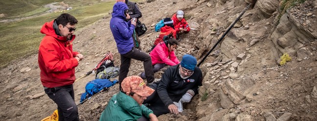 Cientistas encontram quatro tipos de dinossauros na Patagônia chilena — Foto: INACH / AFP