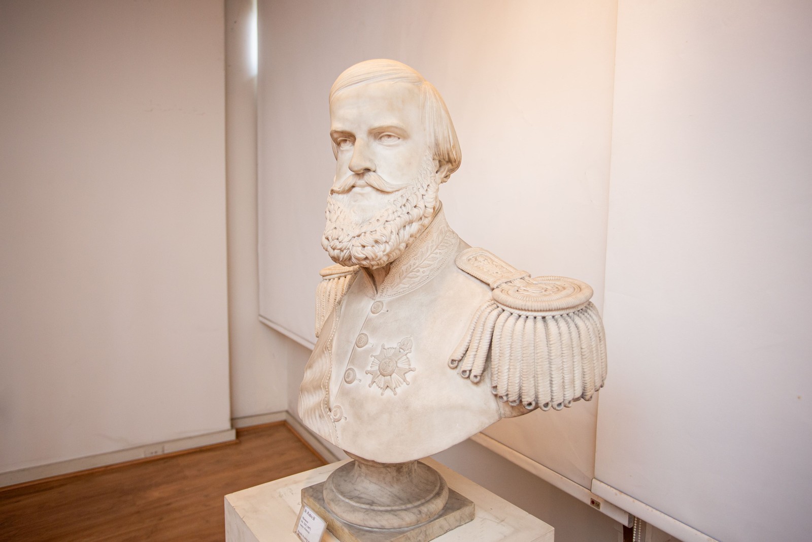 Busto de D. Pedro II. — Foto: Beatriz Orle/O Globo.