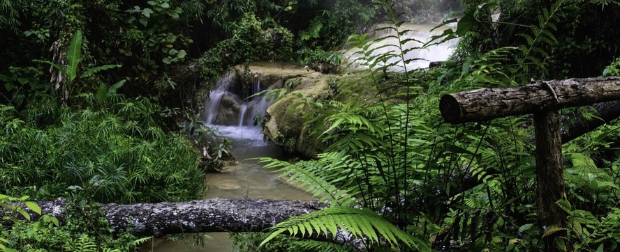 Em 2022, 283 empresas obtiveram nota “A” em mudanças climáticas, 25 em Florestas e 103 em segurança hídrica