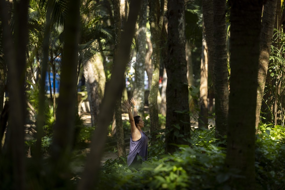 'Banho de floresta': prática criada no Japão busca conexão estreita entre seres humanos e natureza — Foto: Márcia Foletto/Agência O Globo