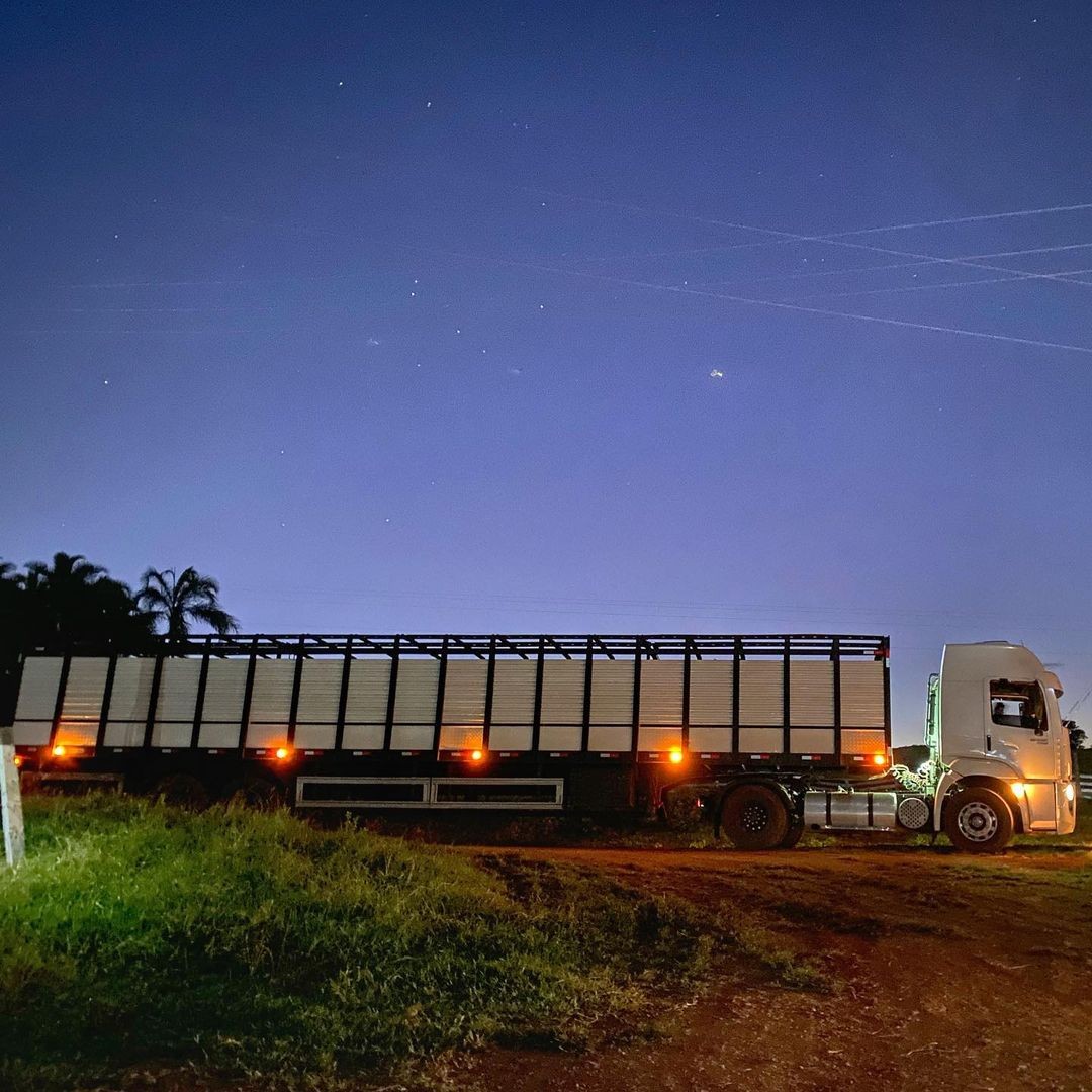 Cantor Zé Neto tem frota milionária de caminhão boiadeiro — Foto: Reprodução Instagram