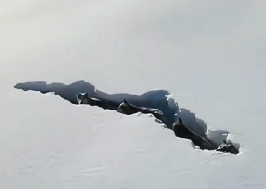 Lobos são vistos caminhando em túneis na neve, na China