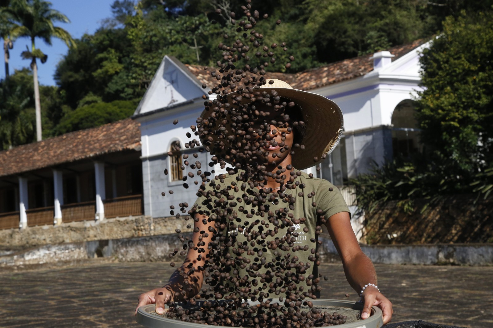 Café do Vale do Paraíba passa por avaliação da Embrapa para receber indicador geográfico de qualidade. Na foto, a Fazenda Alliança e a fase de secagem dos grãos de café. — Foto: Custódio Coimbra