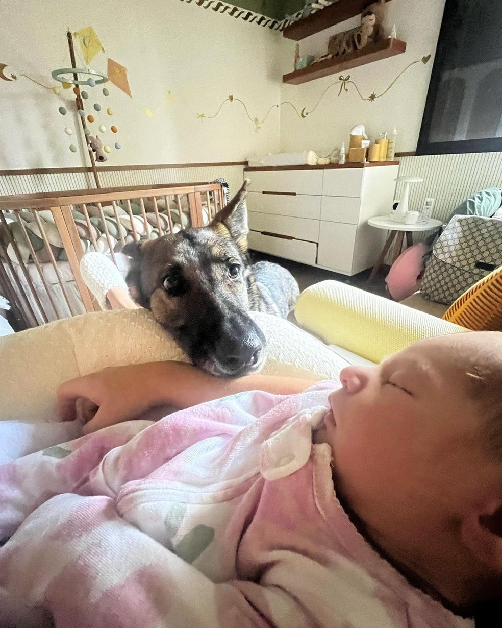 Filha do casal Victor Sampaio e Fernanda Paes Leme, Pilar aparece dormindo em momento fofo com animal de estimação da família — Foto: @victorasampaio no Instagram