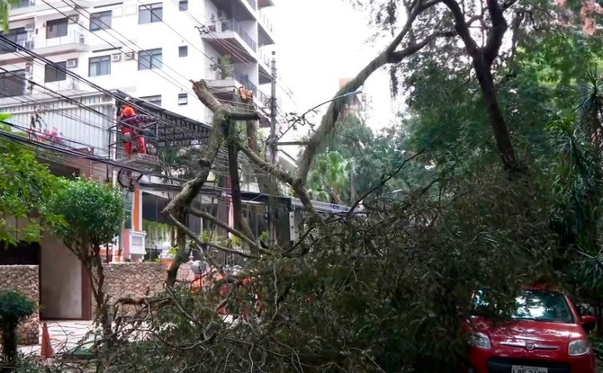 Queda de árvore na Tijuca, na Zona Norte do Rio, após ventos fortes na cidade
