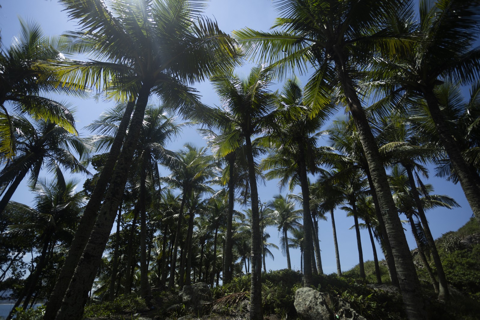 A Ilha das Cabras, próxima ao Guarujá (SP), está à venda por R$ 15 milhões. Na foto, a Praia da Enseada, localizada em um trecho da ilha — Foto: Maria Isabel Oliveira/Agência O Globo