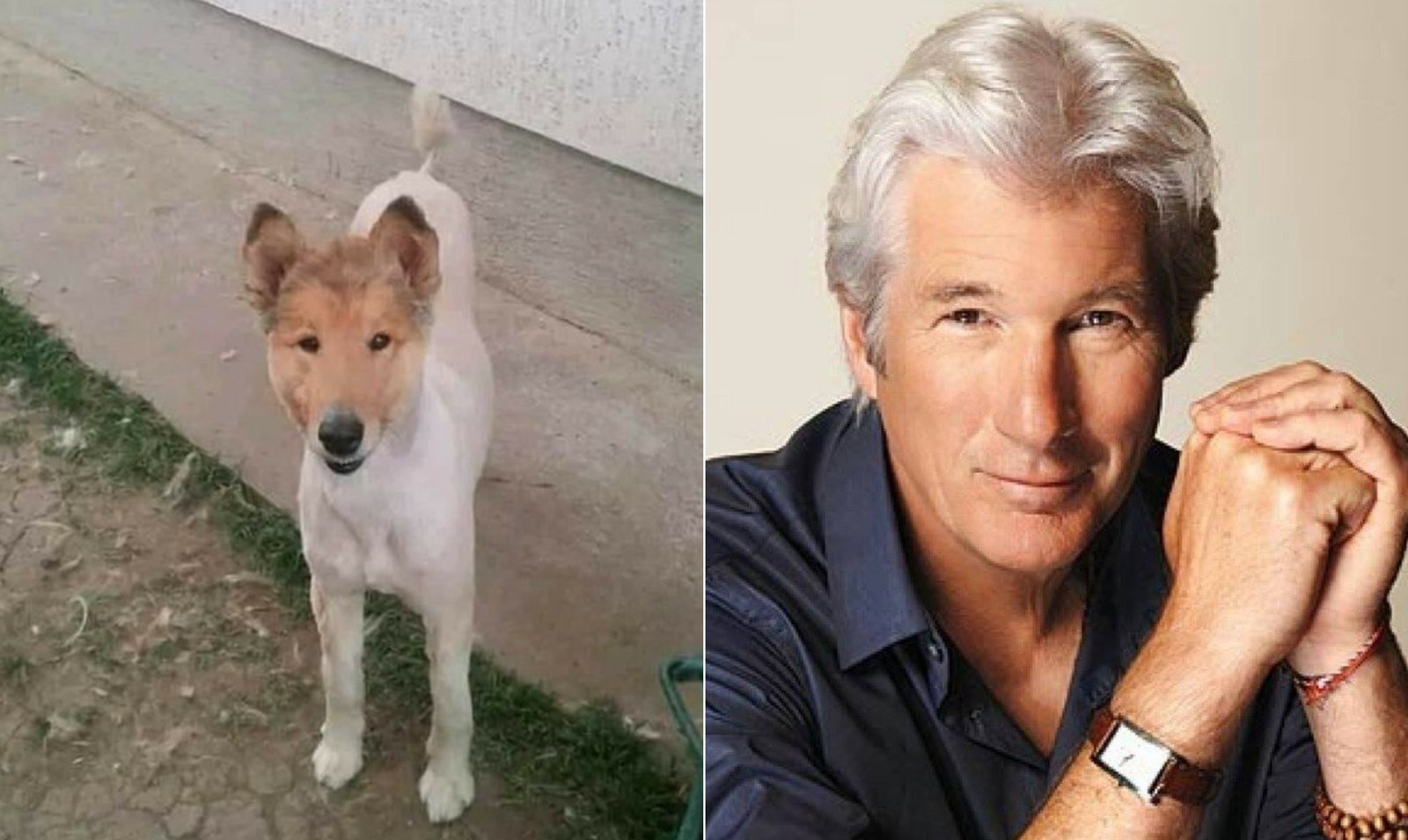 Richard Gere — Foto: Reprodução