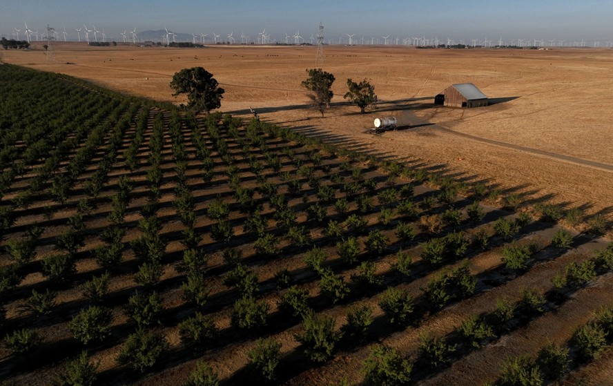 Fazenda comprada pela Flannery em perto de Rio Vista, na California