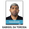 Gabigol da Torcida tenta entrar no jogo político pela segunda vez em dois anos - Reprodução