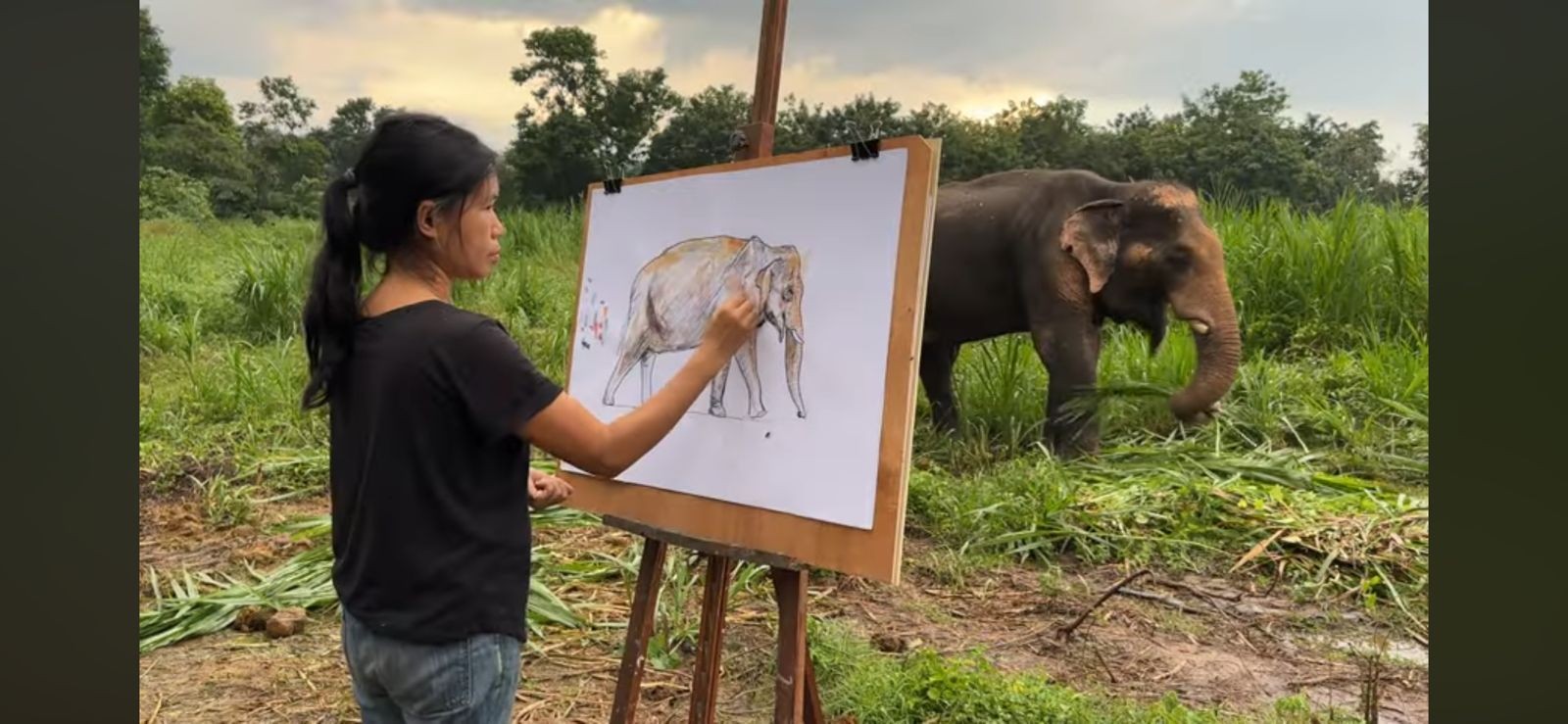 Kwhan reproduz elefantes para fazer as esculturas — Foto: Reprodução