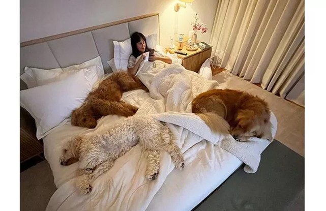 Suzana Gullo, mulher de Marcos Mion, posa na cama enorme com os três cães da família